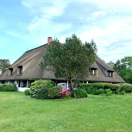 Strandschnecke Im Haus Hallig Oland *