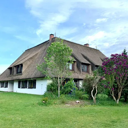 Strandschnecke Haus Hallig Oland Apartment