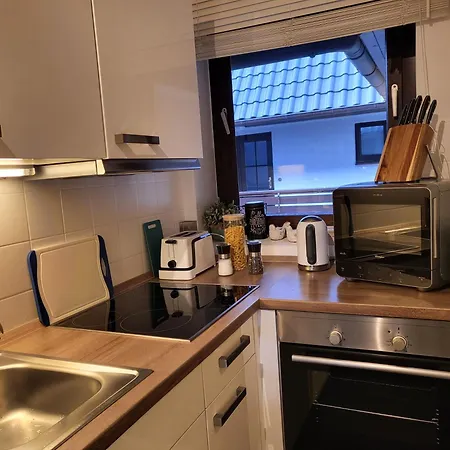 Strandschnecke Im Haus Hallig Oland