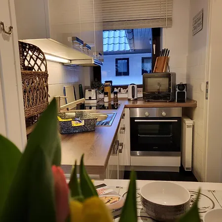 Strandschnecke Im Haus Hallig Oland *