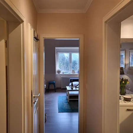 Strandschnecke Im Haus Hallig Oland *